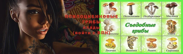 шишки Алексеевка